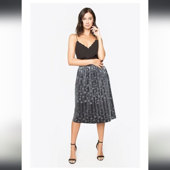 Blueish-gray velvet feel Sugar lips midi pleated skirt size S, new without tags! - Picture 1 of 12